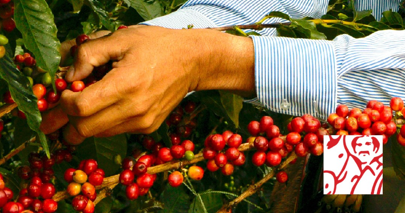 10月1日はコーヒーの日です！